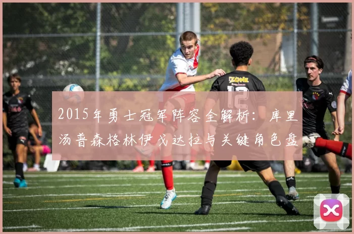2015年勇士冠军阵容全解析:库里汤普森格林伊戈达拉与关键角色盘点