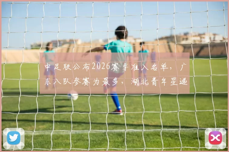 中足联公布2026赛季准入名单,广东八队参赛为最多,湖北青年星递补中乙