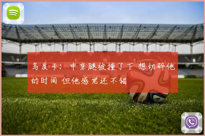 乌度卡：申京腿被撞了下 想切碎他的时间 但他感觉还不错